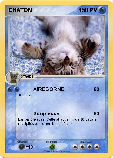 Pokemon CHATON