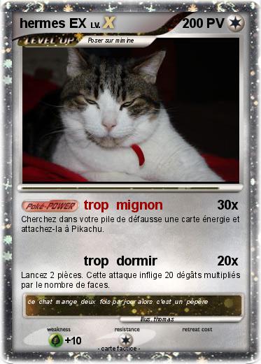 Pokemon hermes EX