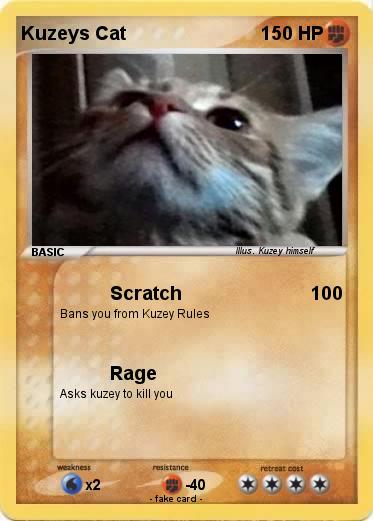 Pokemon Kuzeys Cat