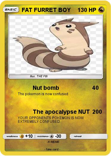Pokemon FAT FURRET BOY