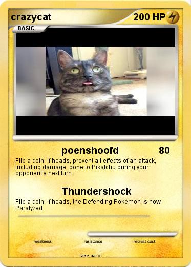 Pokemon crazycat