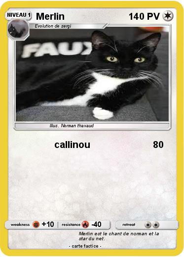 Pokemon Merlin