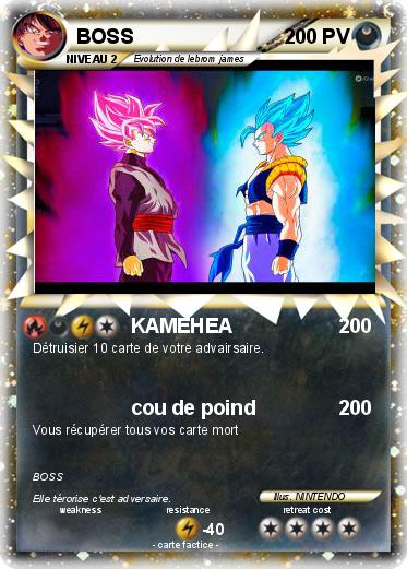 Pokemon BOSS