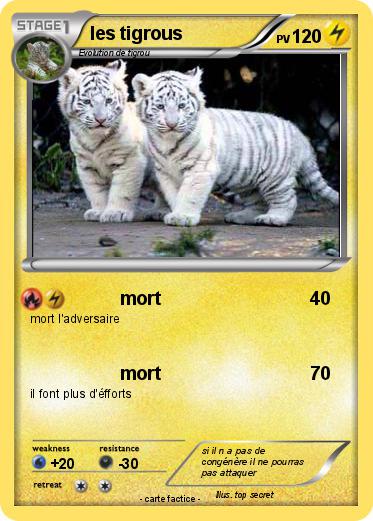 Pokemon les tigrous