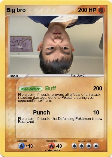 Pokemon Big bro