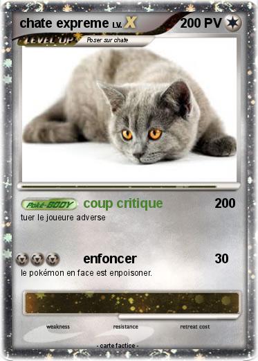 Pokemon chate expreme