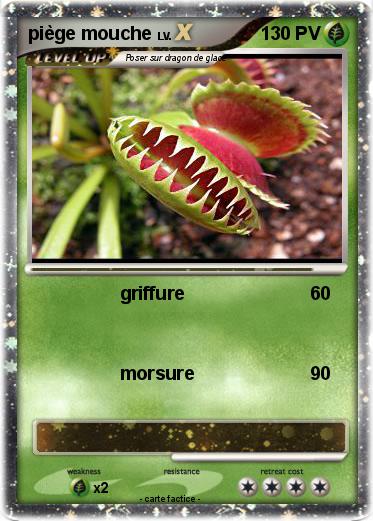 Pokemon piège mouche