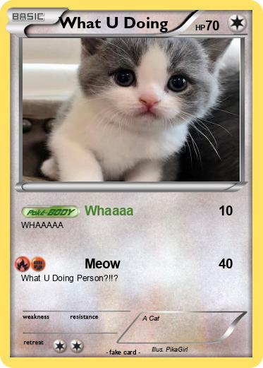 Pokemon What U Doing
