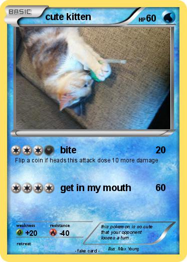 Pokemon cute kitten