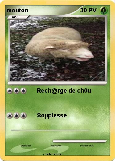 Pokemon mouton