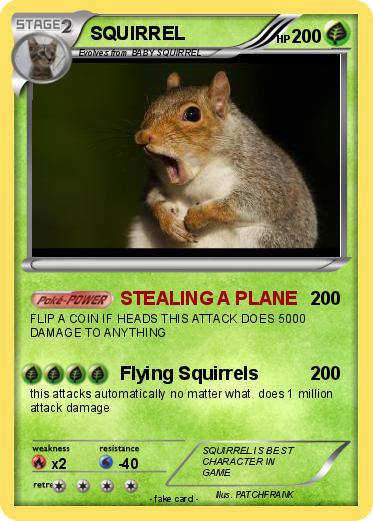 Pokemon SQUIRREL