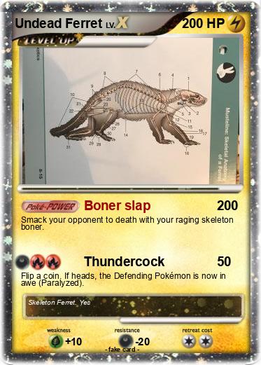 Pokemon Undead Ferret