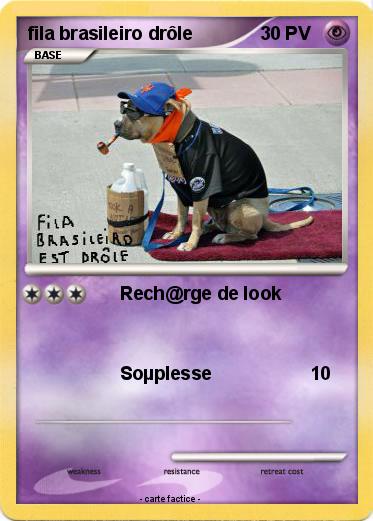 Pokemon fila brasileiro drôle