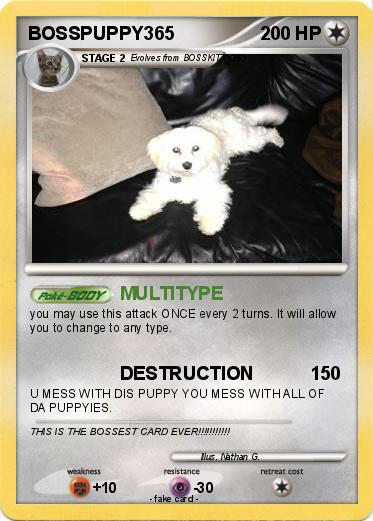 Pokemon BOSSPUPPY365