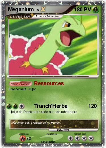 Pokemon Meganium