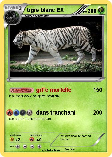 Pokemon tigre blanc EX