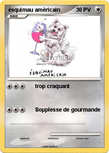 Pokemon ésquimau américain