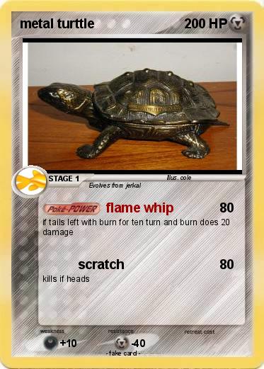 Pokemon metal turttle