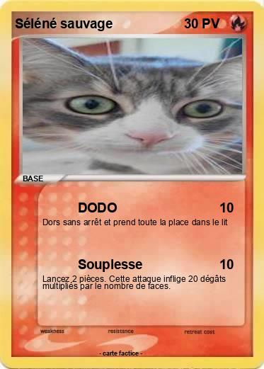Pokemon Séléné sauvage