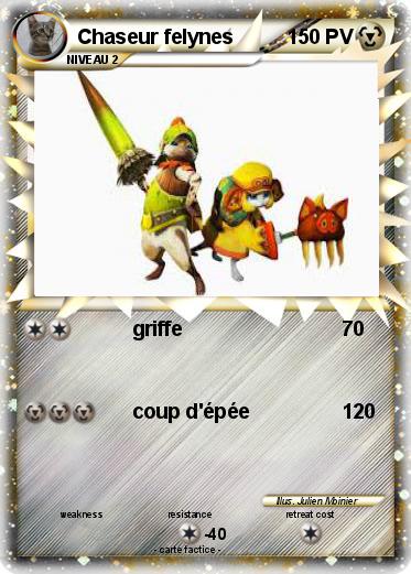 Pokemon Chaseur felynes