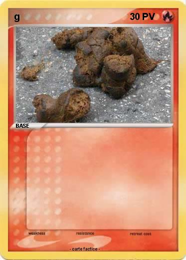 Pokemon g