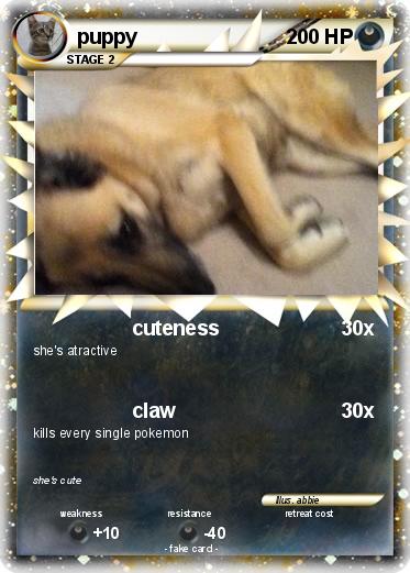Pokemon puppy