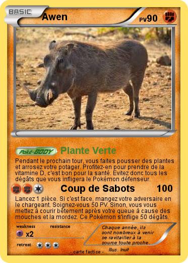 Pokemon Awen