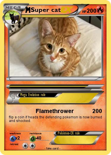 Pokemon Super cat