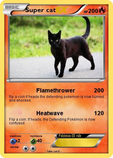 Pokemon Super cat