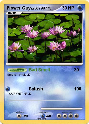 Pokemon Flower Guy