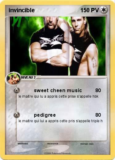 Pokemon invincible