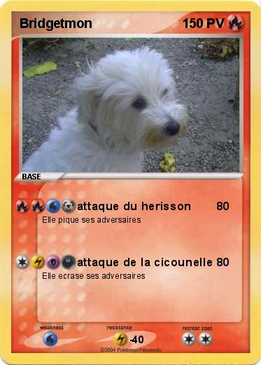 Pokemon Bridgetmon