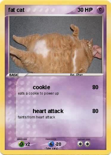 Pokemon fat cat