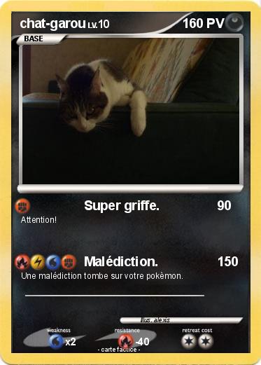 Pokemon chat-garou