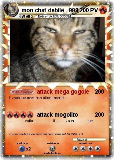 Pokemon mon chat debile   999