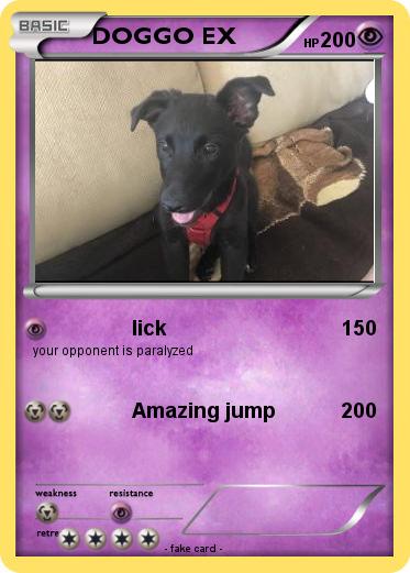 Pokemon DOGGO EX