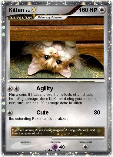 Pokemon Kitten