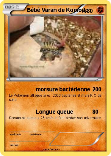 Pokemon Bébé Varan de Komodo