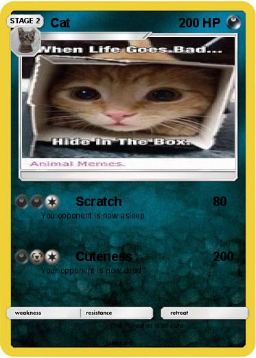Pokemon Cat