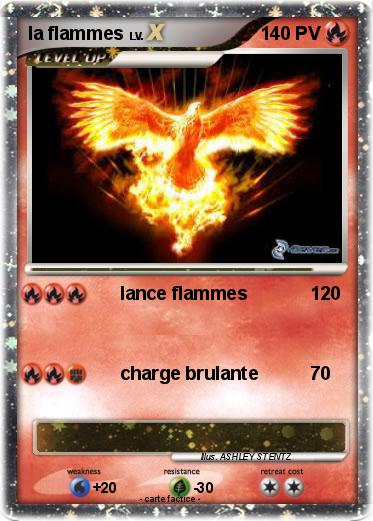 Pokemon la flammes