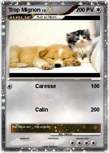 Pokemon Trop Mignon