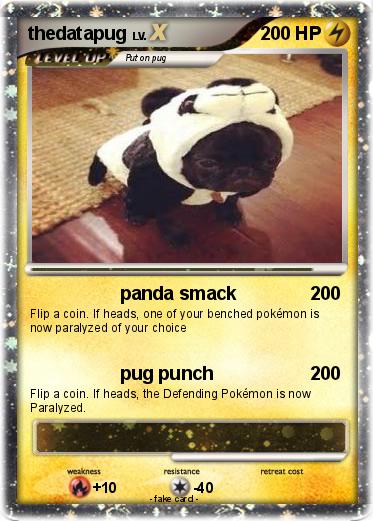 Pokemon thedatapug