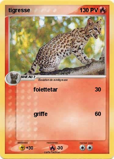 Pokemon tigresse
