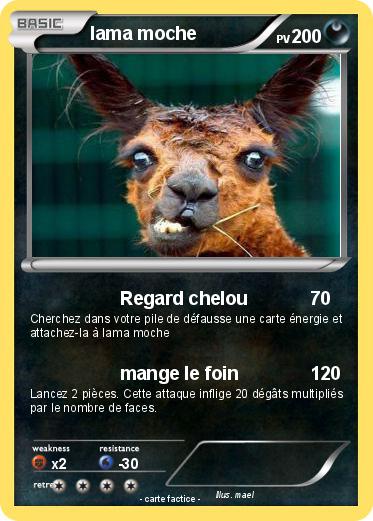 Pokemon lama moche