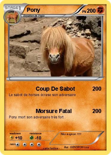 Pokemon Pony