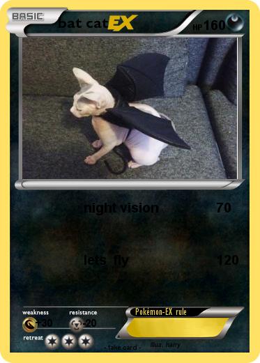 Pokemon bat cat