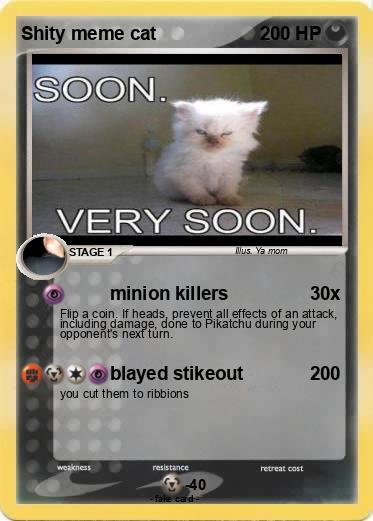 Pokemon Shity meme cat