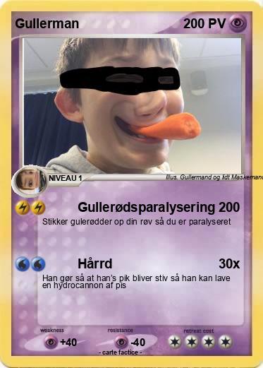 Pokemon Gullerman