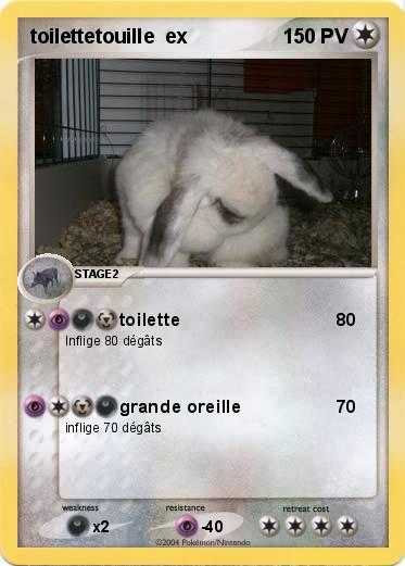 Pokemon toilettetouille  ex