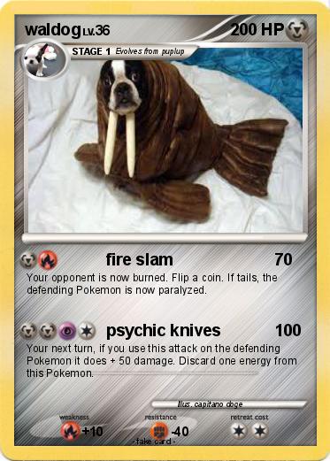 Pokemon waldog